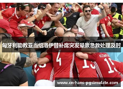 匈牙利助教亚当绍洛伊替补席突发晕厥急救处理及时 匈牙利助教亚当绍洛伊替补席突发晕厥急救处理及时