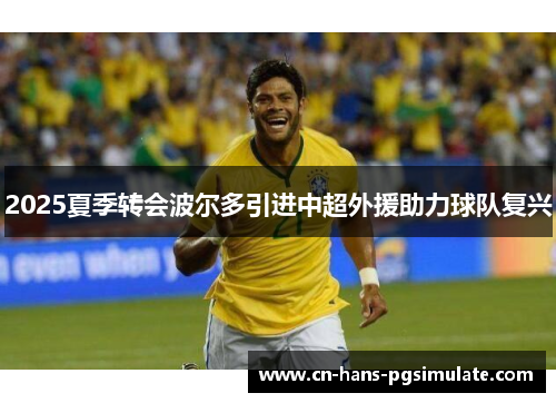 2025夏季转会波尔多引进中超外援助力球队复兴 2025夏季转会波尔多引进中超外援助力球队复兴